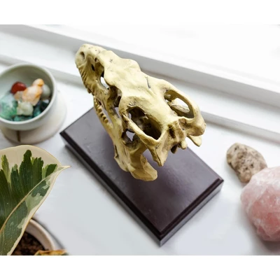 Surreal Entertainment Jurassic World Velociraptor Skull Paperweight Replica | 8 Inches Tall 5 Surreal Entertainment Jurassic World Velociraptor Skull Paperweight Replica | 8 Inches Tall - Image 5