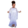 Disguise Toddler Adaptive Disney Frozen Elsa Snow Queen Halloween Costume XS (3T-4T)
