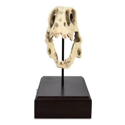 Surreal Entertainment Jurassic World Velociraptor Skull Paperweight Replica | 8 Inches Tall 2 Surreal Entertainment Jurassic World Velociraptor Skull Paperweight Replica | 8 Inches Tall - Image 2