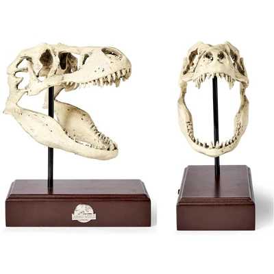 Surreal Entertainment Jurassic World 9x8 Inch Tyrannosaurus Rex Skull Resin Replica 1 Surreal Entertainment Jurassic World 9x8 Inch Tyrannosaurus Rex Skull Resin Replica