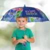 PJ Masks Boy's Clear Bubble Umbrella, Kids Age 3-6