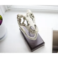 Surreal Entertainment Jurassic World 9x8 Inch Tyrannosaurus Rex Skull Resin Replica 8 Surreal Entertainment Jurassic World 9x8 Inch Tyrannosaurus Rex Skull Resin Replica -Toys Sale Store GUEST 8c998830 a8c9 47a7 8e60 ca8a2d412712