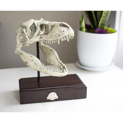 Surreal Entertainment Jurassic World 9x8 Inch Tyrannosaurus Rex Skull Resin Replica 3 Surreal Entertainment Jurassic World 9x8 Inch Tyrannosaurus Rex Skull Resin Replica - Image 3