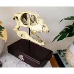 Surreal Entertainment Jurassic World Velociraptor Skull Paperweight Replica | 8 Inches Tall 8 Surreal Entertainment Jurassic World Velociraptor Skull Paperweight Replica | 8 Inches Tall -Toys Sale Store GUEST b4fd6b54 e83a 4225 9715 dc01c0d6f712