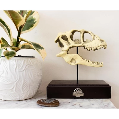 Surreal Entertainment Jurassic World Velociraptor Skull Paperweight Replica | 8 Inches Tall 3 Surreal Entertainment Jurassic World Velociraptor Skull Paperweight Replica | 8 Inches Tall - Image 3