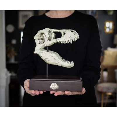 Surreal Entertainment Jurassic World 9x8 Inch Tyrannosaurus Rex Skull Resin Replica 2 Surreal Entertainment Jurassic World 9x8 Inch Tyrannosaurus Rex Skull Resin Replica - Image 2