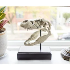 Surreal Entertainment Jurassic World 9x8 Inch Tyrannosaurus Rex Skull Resin Replica 9 Surreal Entertainment Jurassic World 9x8 Inch Tyrannosaurus Rex Skull Resin Replica -Toys Sale Store GUEST d4f24286 84f8 4c55 8d36 10d04b819970