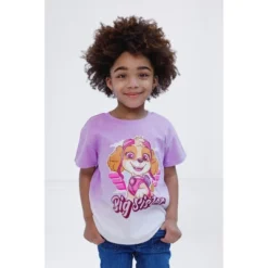 PAW Patrol Paw Skye Big Sister Toddler Girls Drop Shoulder T-Shirt Lavender 4T